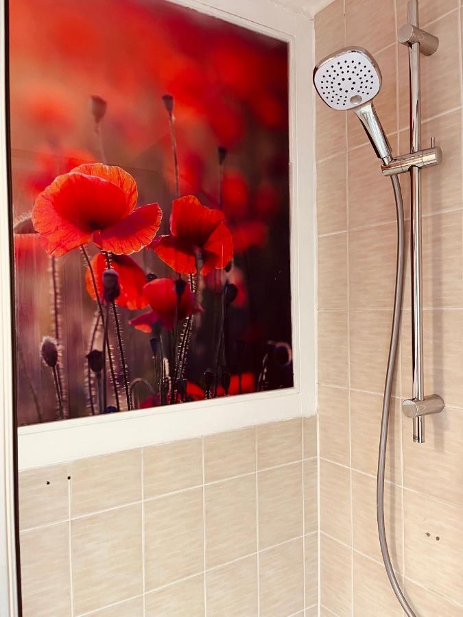 Apartment Meyver Centrum. *